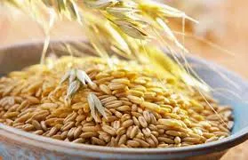 Seed Milk Oat Extract Powder 1 kg Mylo Opt global supplier Seed Milk Oat Extract Powder 1 kg cosmetic ingredient Mylo Opt