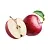 Apple Ripe Fragrance Oil 1 L cosmetic ingredient Mylo Opt
