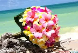 Laundry detergent Fragrance Oil Tropical flowers 1 L Mylo Opt global supplier Laundry detergent Fragrance Oil Tropical flowers 1 L cosmetic ingredient Mylo Opt