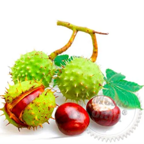 Escin phytosome 10 g Mylo Opt global supplier Escin phytosome 10 g cosmetic ingredient Mylo Opt