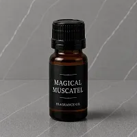 Fragrance Oil Magical Muscatel 1 L cosmetic ingredient Mylo Opt