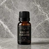 Strelitzia reginae Essential Oil 10 ml cosmetic ingredient Mylo Opt