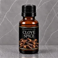 Clove Spice Fragrance Oil 1 L cosmetic ingredient Mylo Opt