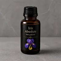 Абсолют Ириса, 100 гр артикул TM17050508