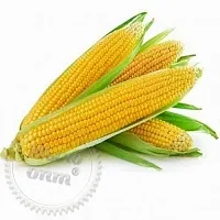 Food Flavoring Corn (Ukraine), 1 L