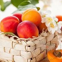 Fragrance Oil Apricot, 1 L cosmetic ingredient Mylo Opt