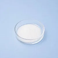 L-Theanine 100 g cosmetic ingredient Mylo Opt