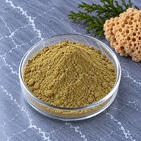 Spongilla Fluviatilis (Badyaga) Extract Powder 1 kg cosmetic ingredient Mylo Opt