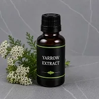 Yarrow extract 1 L cosmetic ingredient Mylo Opt