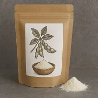 Soy Milk Powder 1 kg cosmetic ingredient Mylo Opt