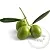 Hydroxytyrosol 1 L cosmetic ingredient Mylo Opt