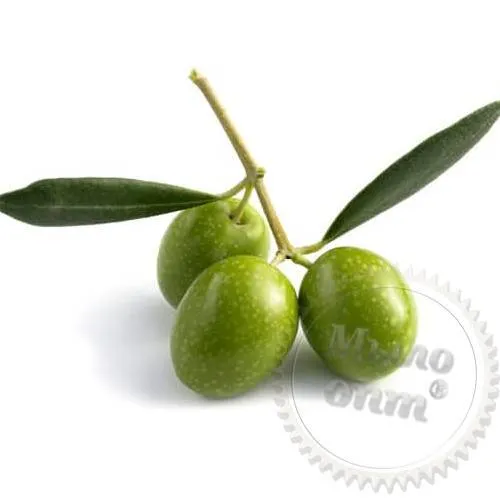 Hydroxytyrosol 1 L Mylo Opt global supplier Hydroxytyrosol 1 L cosmetic ingredient Mylo Opt