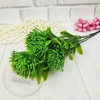 Кущ Часника зелений