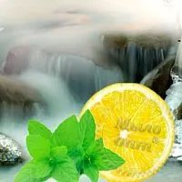 Отдушка Мятный лед, 1 л артикул VV22120812
