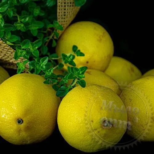 Віддушка Лимон з М'ятою 1 літр Віддушка Лимон з М'ятою 1 літр