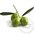 Hidroxitirosol, 100 мл описание и применение