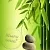 Bamboo Powder, 100 g, photos, reviews, use