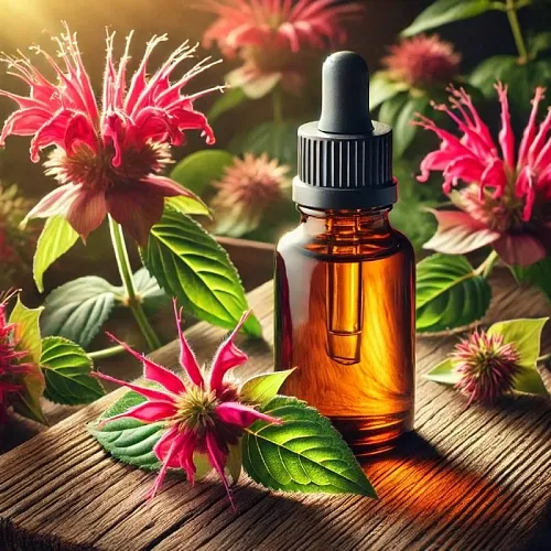 Monarda Oil Extract 500 ml Mylo Opt global supplier Monarda Oil Extract 500 ml cosmetic ingredient Mylo Opt