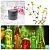 Cinquefoil Extract Powder 10% 1 kg, photos, reviews, use
