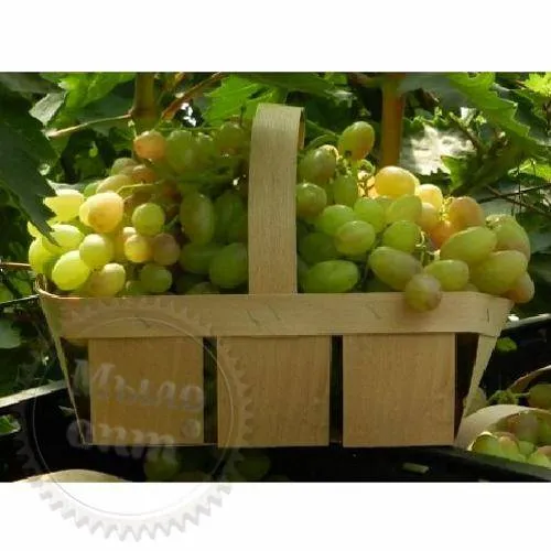 Корзинка из бука квадратная с ручкой большая