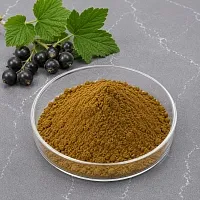 Экстракт листьев Смородины сухой, 1 кг артикул K50159