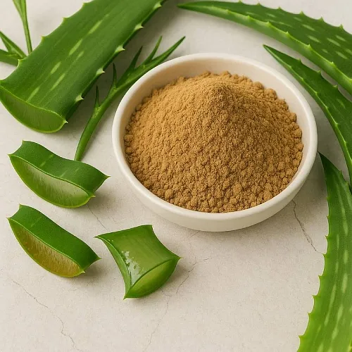 Aloe Vera Powder 25 g cosmetic ingredient Mylo Opt