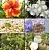 Phytoestrogen Complex, 5 ml, photos, reviews, use