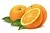 Купить Гидролат Апельсина 50 мл в Украине