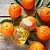 Mandarin Peel Oil 1 L cosmetic ingredient Mylo Opt