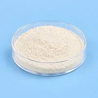 Xanthan Gum 50 g cosmetic ingredient Mylo Opt