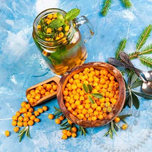 Sea Buckthorn Fragrance Oil England 1 L Mylo Opt global supplier Sea Buckthorn Fragrance Oil England 1 L cosmetic ingredient Mylo Opt