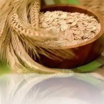Oat CO2 Extract 100 g Mylo Opt global supplier Oat CO2 Extract 100 g cosmetic ingredient Mylo Opt