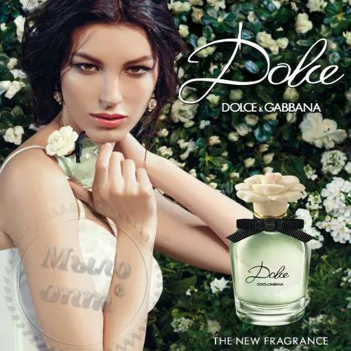 D&G Dolce Fragrance Oil 100 ml cosmetic ingredient Mylo Opt