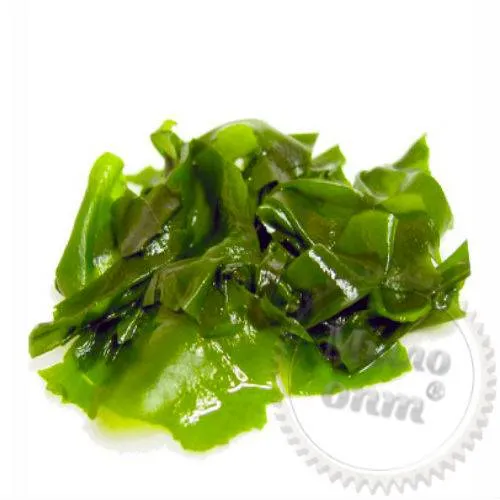 ACB Wakame Bioferment Advanced, 100 ml, 330.40 UAH, rating ⭐⭐⭐⭐⭐ Milo Opt