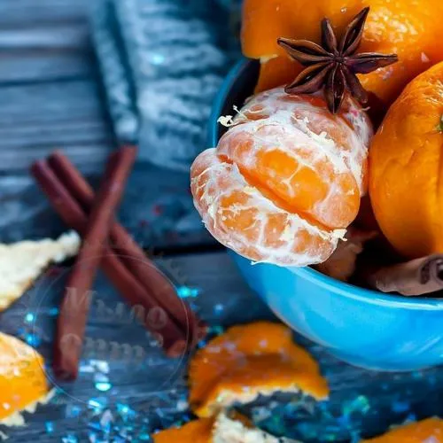 Віддушка Cannelle Mandarine, 1 літр 913.15 грн. рейтинг ⭐⭐⭐⭐⭐ Мило Опт
