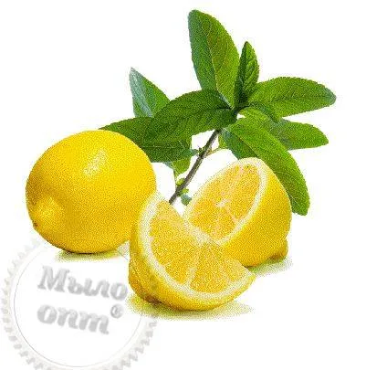 Lemon butter, 25 g, 19.10 UAH, rating ⭐⭐⭐⭐⭐ Milo Opt