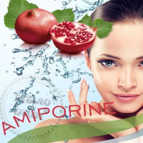 Amiporine, 5мл 21.20 грн. рейтинг ⭐⭐⭐⭐⭐ Мило Опт