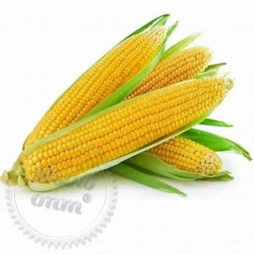 Food Flavoring Corn (Ukraine), 1 L, 992.00 UAH, rating ⭐⭐⭐⭐⭐ Milo Opt